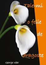 taie-mi_o_felie_de_dragoste_c1
