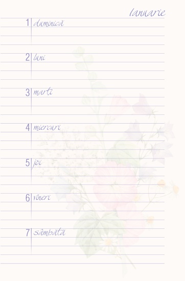 agenda_femei_202315_1118933703