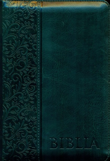 biblia-verde-056-zti-600x872