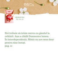 1581362502-evs