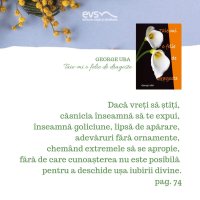 1581362900-evs
