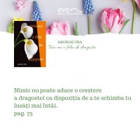 1581363305-evs