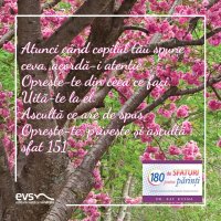 1581364168-evs