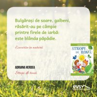 1581594293-evs