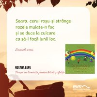 1581595117-evs