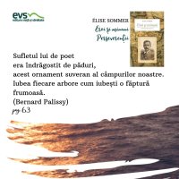1581928888-evs