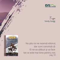 1581929461-evs