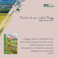 1581930985-evs
