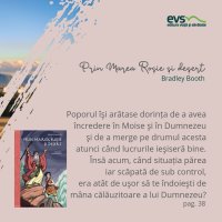 1581931419-evs