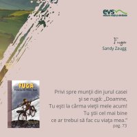 1581931855-evs