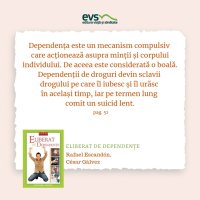 1581933100-evs