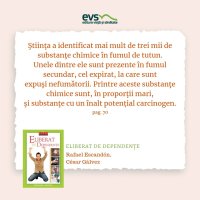 1581933416-evs
