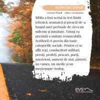 1581956816-evs