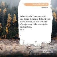 1581956910-evs