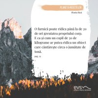 1581957501-evs