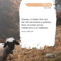 1581958061-evs