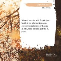 1581958246-evs