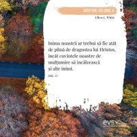 1581958453-evs