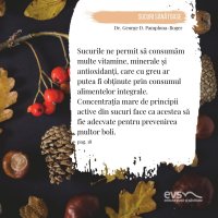 1581958677-evs