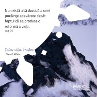 1581963104-evs
