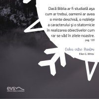 1581963363-evs