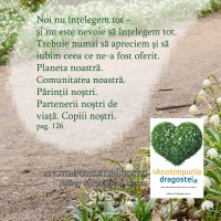 1586953275-evs