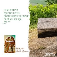 1592510327-evs
