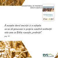 1595430051-evs
