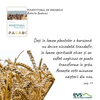 1595430429-evs