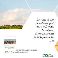 1595430550-evs