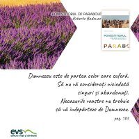 1595431277-evs