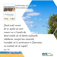 1595431343-evs