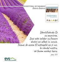 1595431395-evs