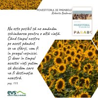 1595431687-evs