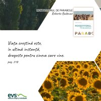 1595431799-evs