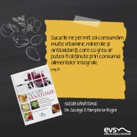 1600796183-evs