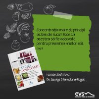 1600796490-evs