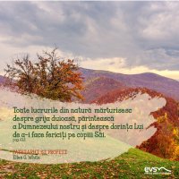1607635893-evs