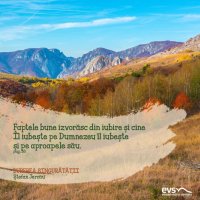 1607636410-evs
