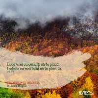 1607637499-evs