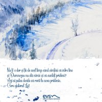 1611235342-evs