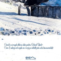 1611235604-evs