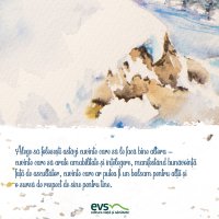 1611235760-evs