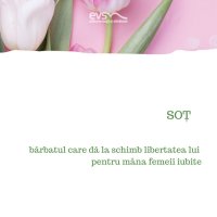 1581972260-evs