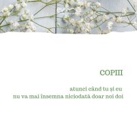 1581972443-evs