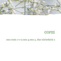 1581972491-evs