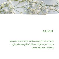 1581972523-evs
