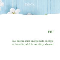 1581972816-evs