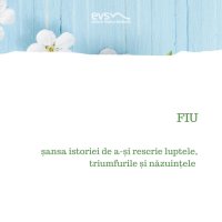 1581972857-evs