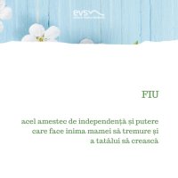 1581972892-evs